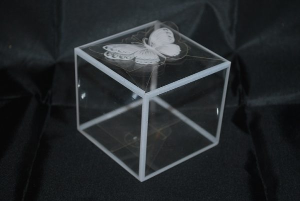 analogy legation Cloudy Cutie transparenta sistem prindere fluture | Marturii nunta | Marturii  botez | Marturii ieftine, la cele mai mici preturi de pe piata